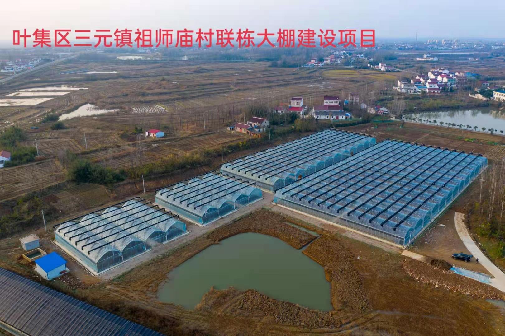 叶集区三元镇祖师庙村联栋大棚建设项目